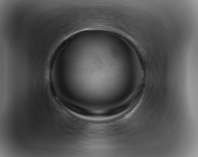 X0000089421506200706151241