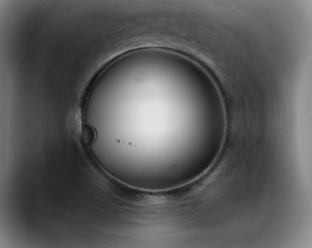 X0000089421509200706151241