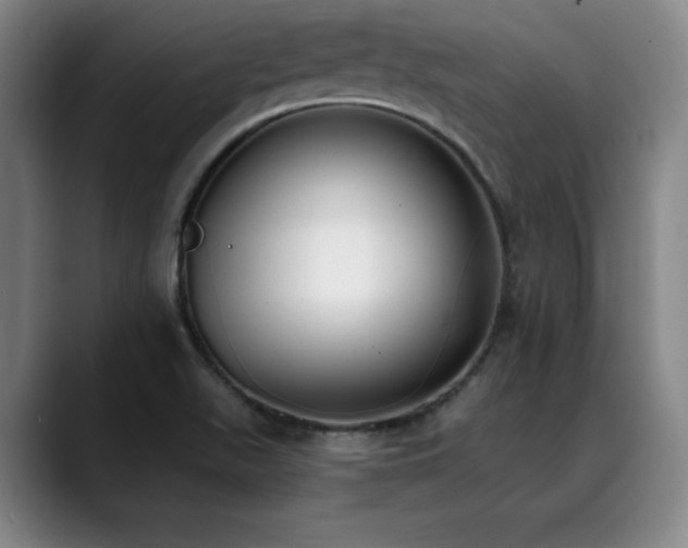 X0000089421511200706151241