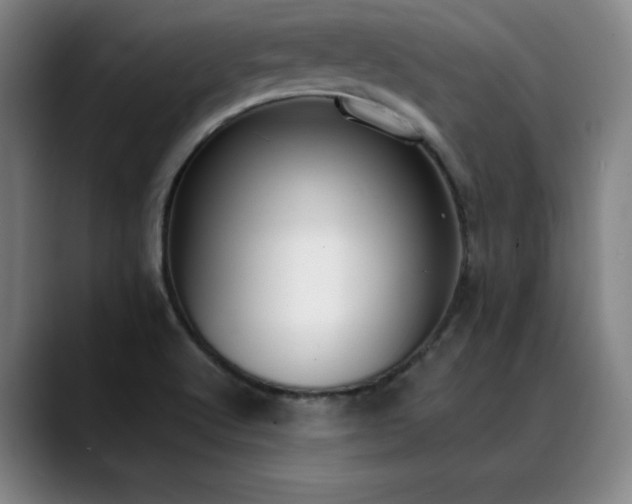 X0000089421512200706151241