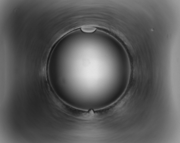 X0000089421513200706151241