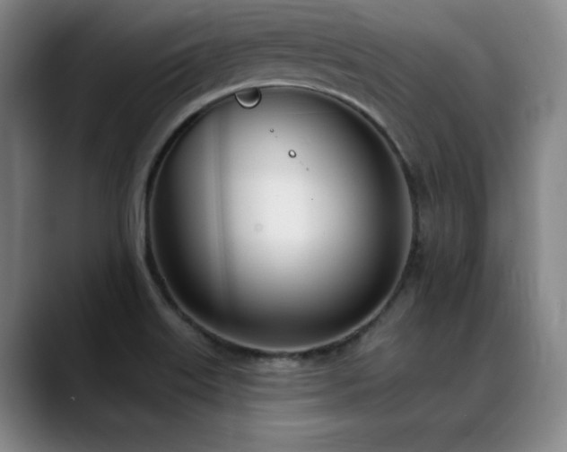 X0000089421515200706151241