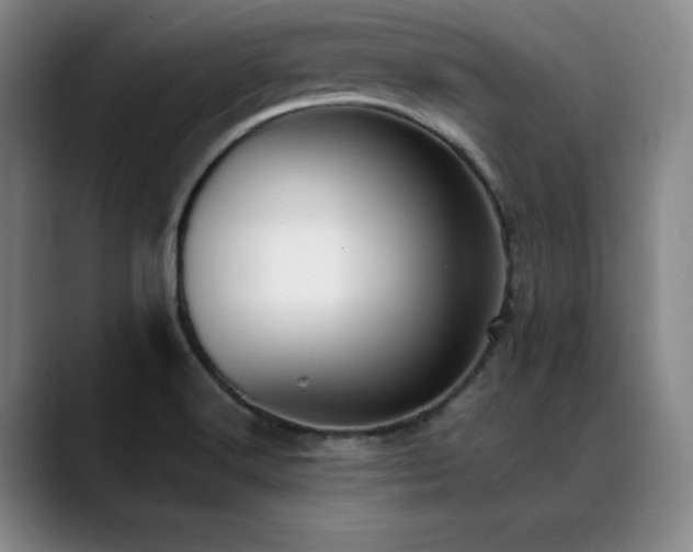 X0000089421516200706151241