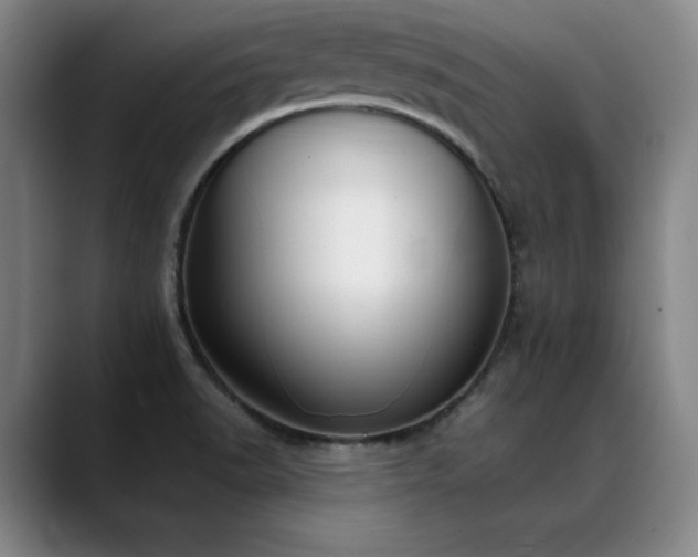 X0000089421518200706151241