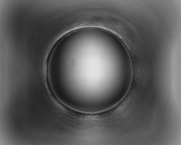 X0000089421519200706151241