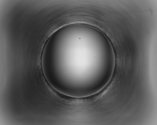 X0000089421521200706151241