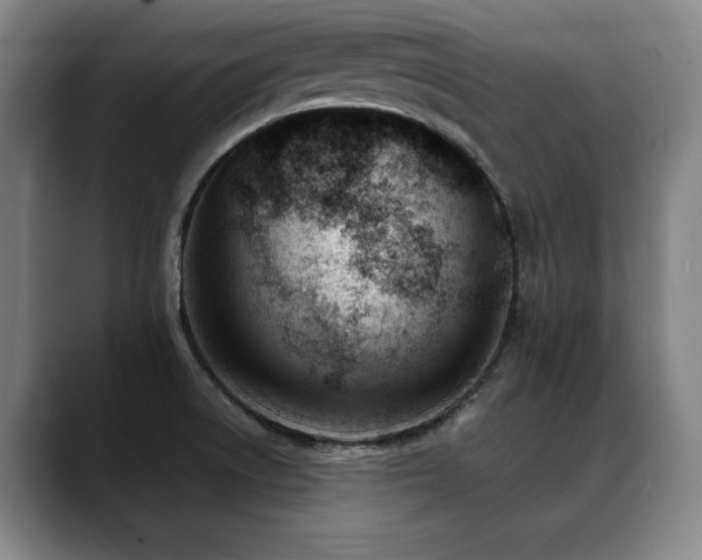 X0000089421522200706151241