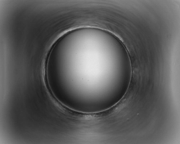 X0000089421523200706151241