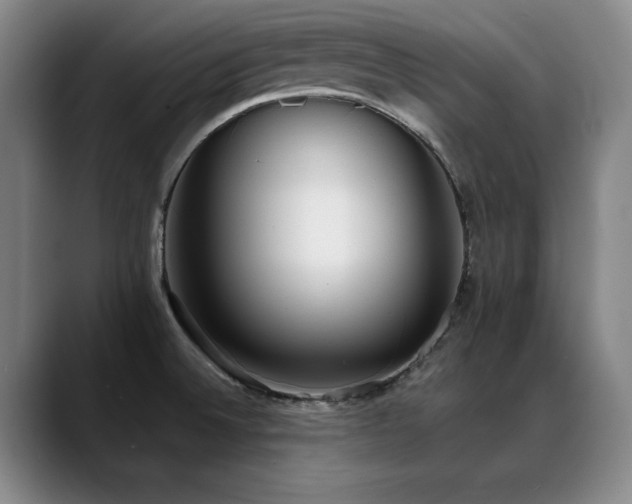 X0000089421524200706151241