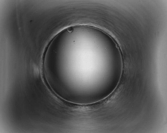X0000089421525200706151241