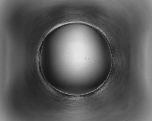 X0000089421526200706151241