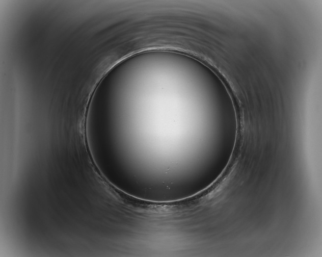 X0000089421529200706151241
