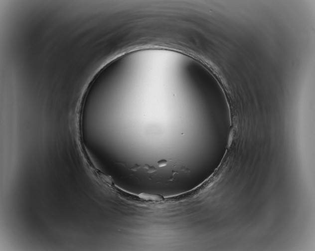 X0000089421530200706151241