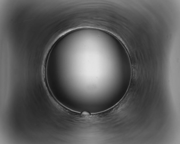 X0000089421531200706151241