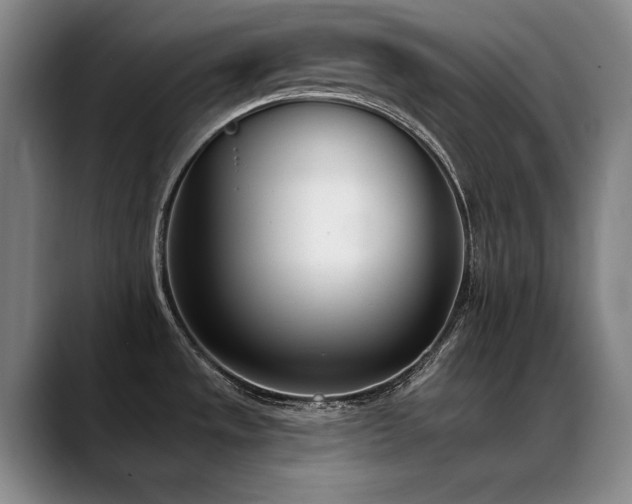 X0000089421533200706151241