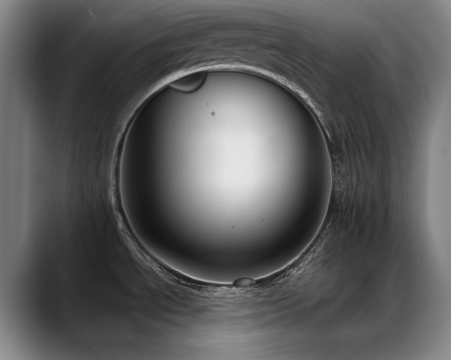 X0000089421534200706151241
