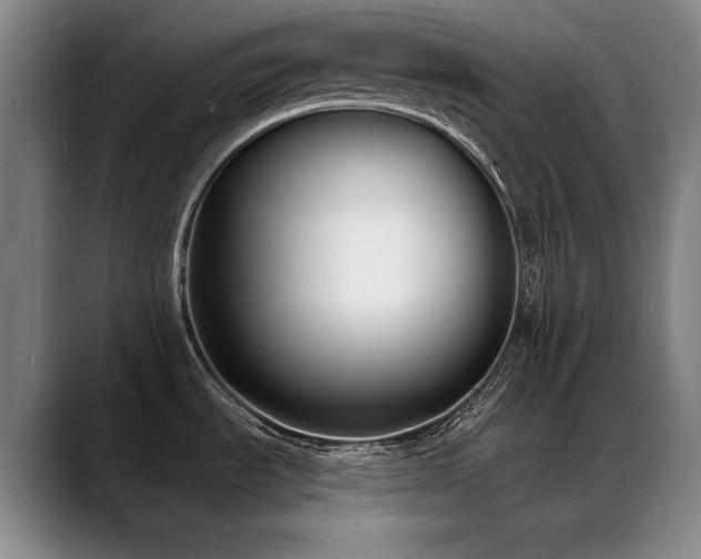 X0000089421535200706151241