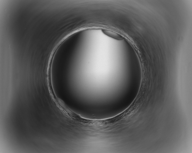 X0000089421536200706151241