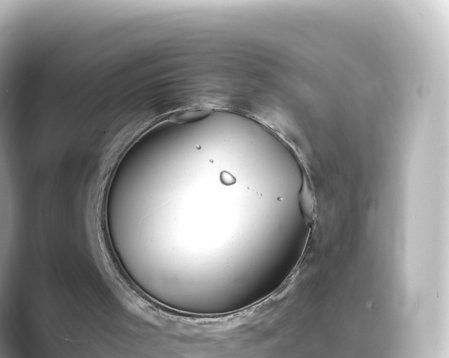 X0000089420001200706221201