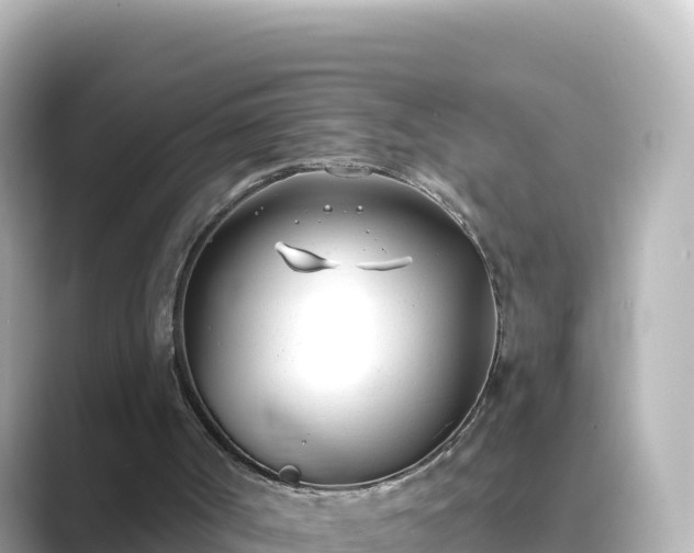 X0000089420002200706221201