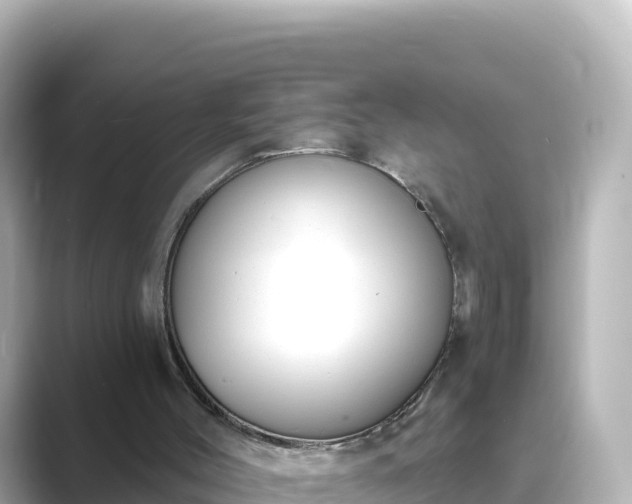 X0000089420004200706221201