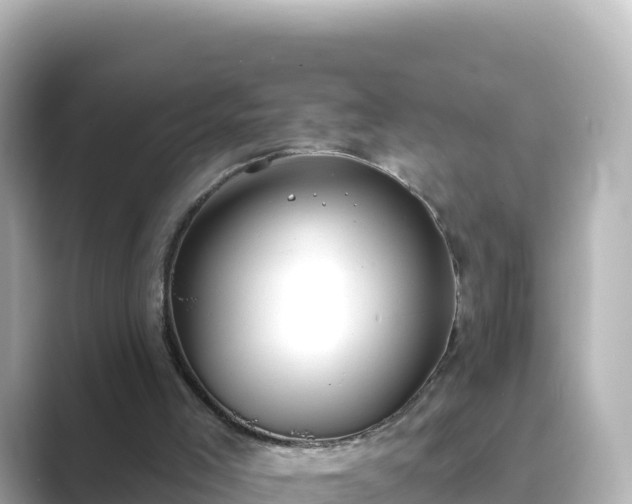 X0000089420005200706221201