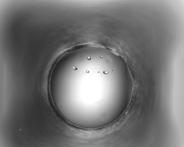 X0000089420006200706221201