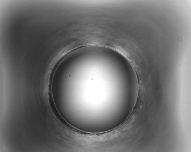 X0000089420007200706221201