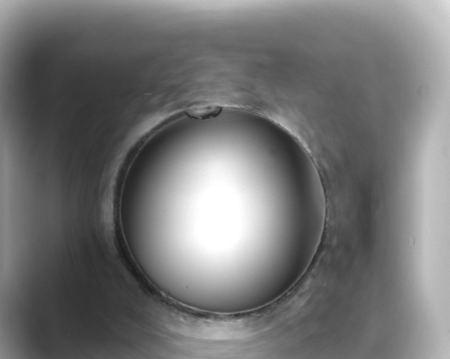 X0000089420008200706221201