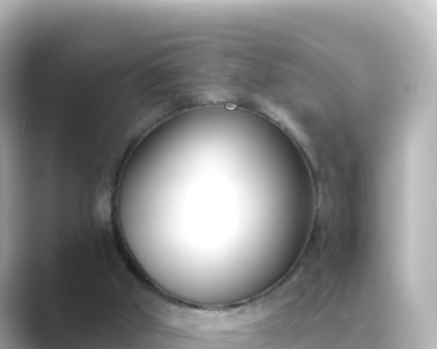 X0000089420010200706221201