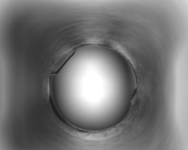 X0000089420011200706221201