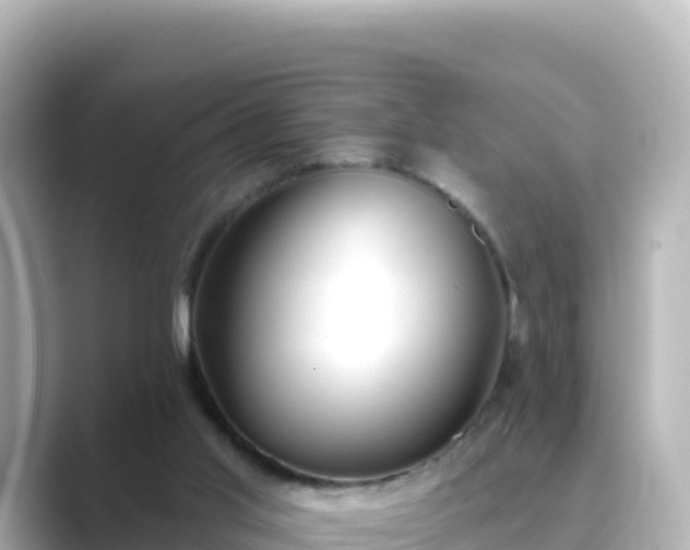 X0000089420013200706221201