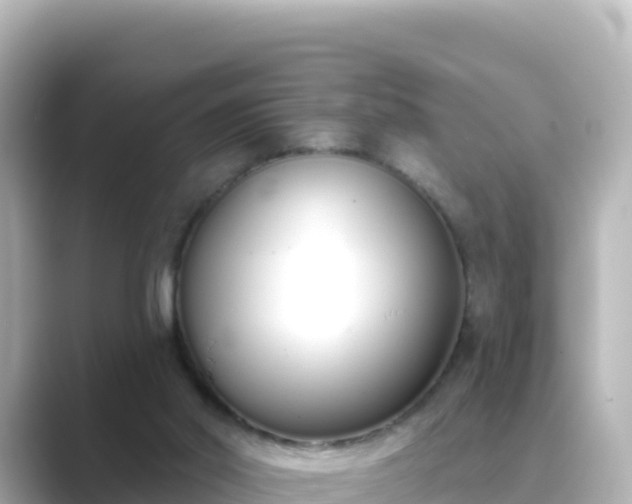 X0000089420014200706221201