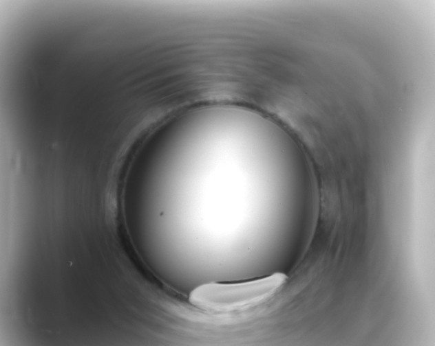 X0000089420015200706221201