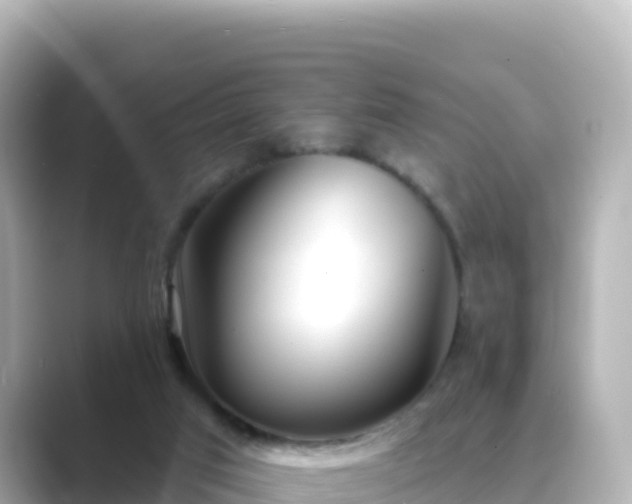 X0000089420017200706221201