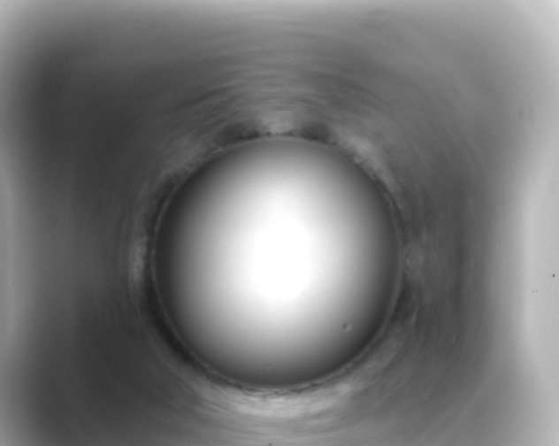 X0000089420018200706221201