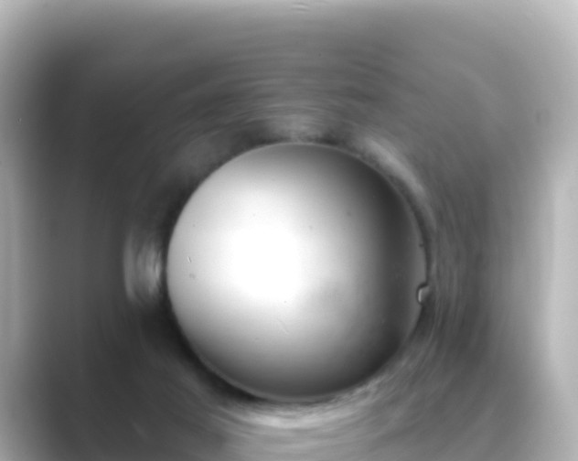 X0000089420021200706221201