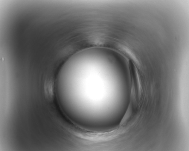 X0000089420023200706221201