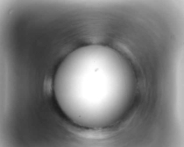 X0000089420024200706221201