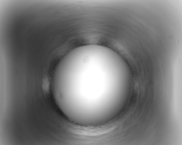 X0000089420026200706221201