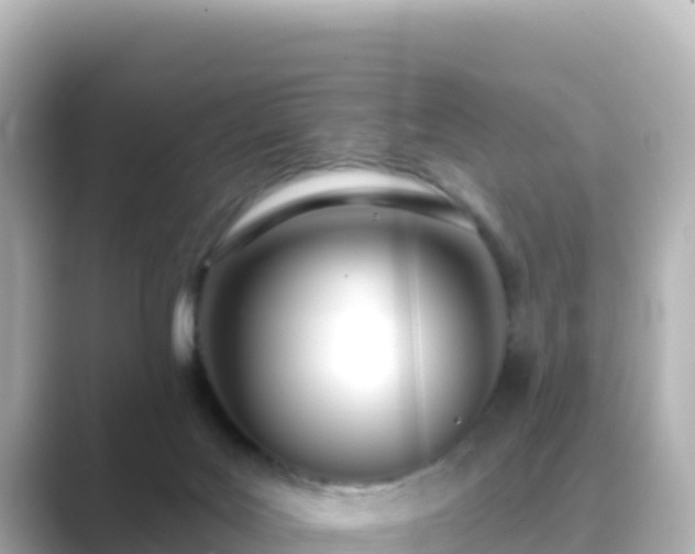 X0000089420027200706221201