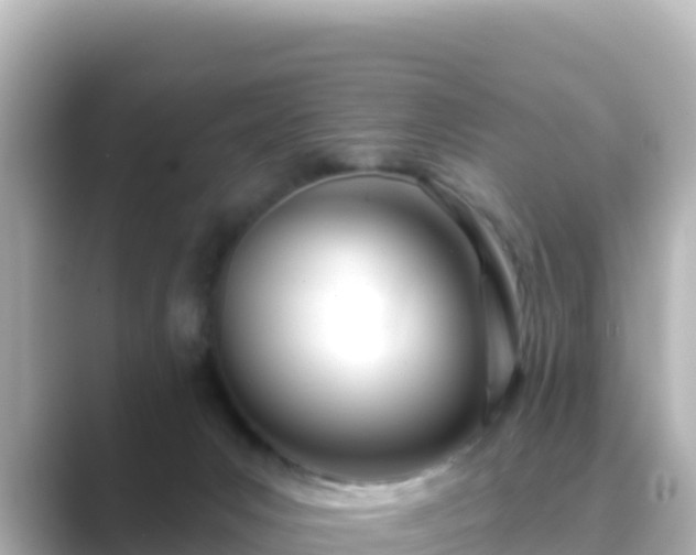 X0000089420031200706221201