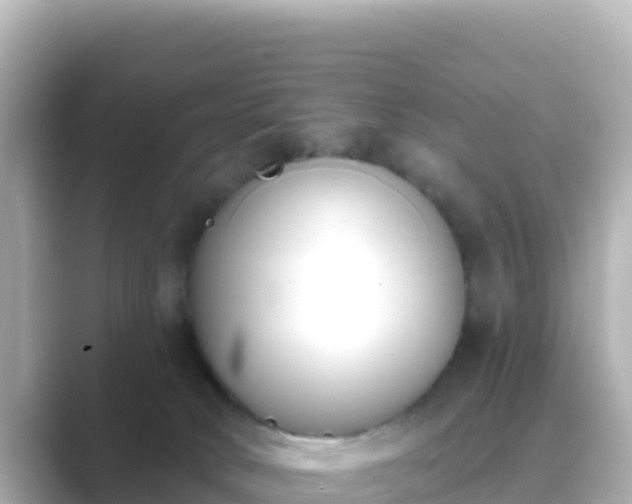 X0000089420034200706221201