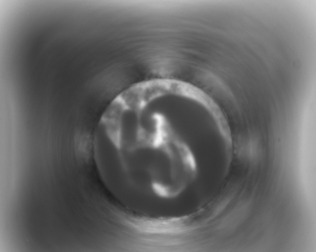 X0000089420036200706221201