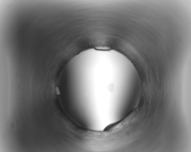 X0000089420037200706221201