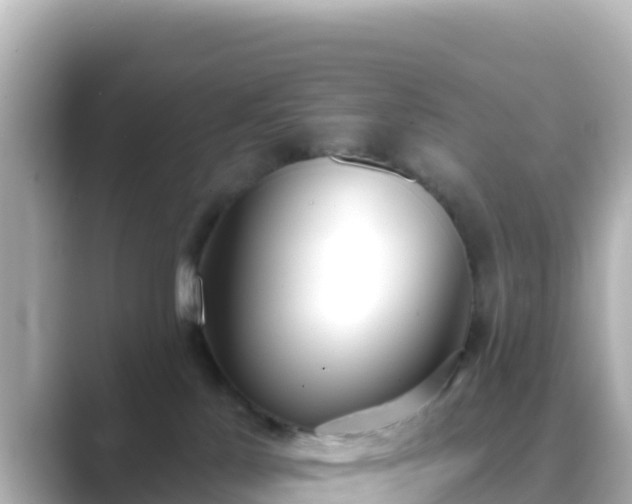 X0000089420041200706221201