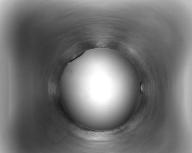 X0000089420044200706221201