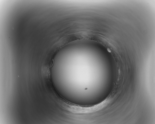 X0000089420048200706221201