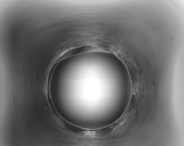 X0000089420052200706221200