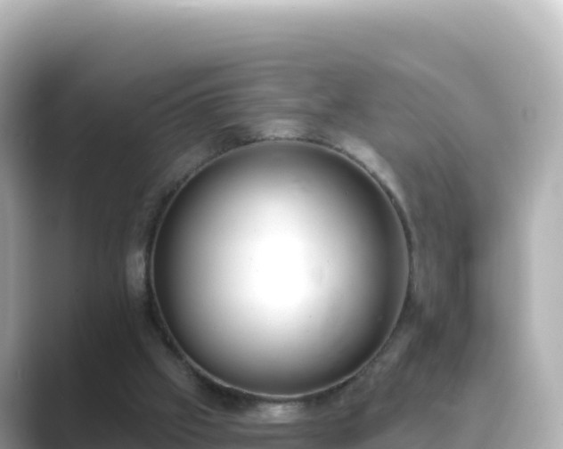 X0000089420057200706221200